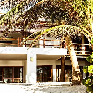casa-carolina-tulum.quintano-roohotels.com/